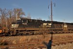 NS 7525